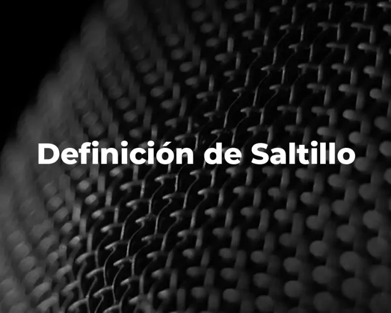 Definición de Saltillo
