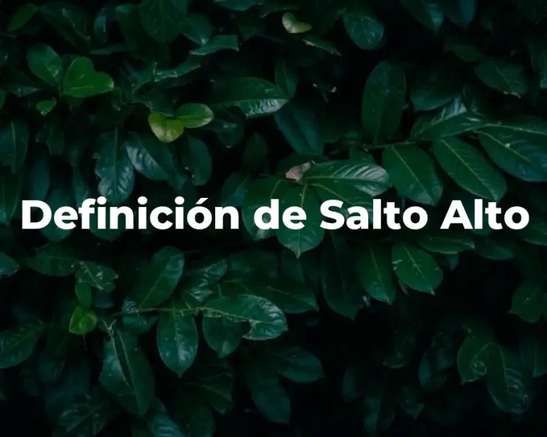 Definición de Salto Alto