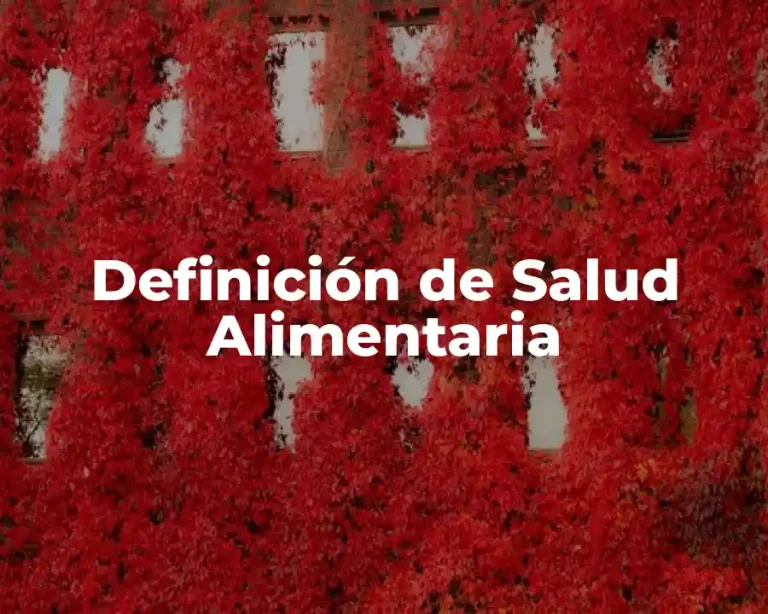Definición de Salud Alimentaria