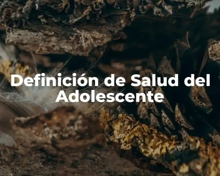 Definición de Salud del Adolescente
