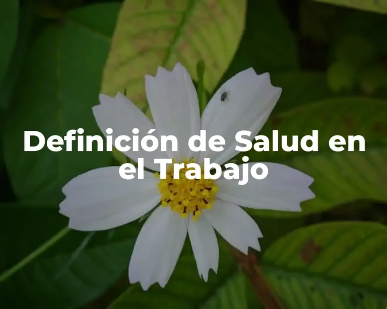 Definición de Salud en el Trabajo