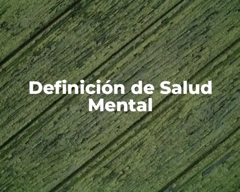 Definición de Salud Mental