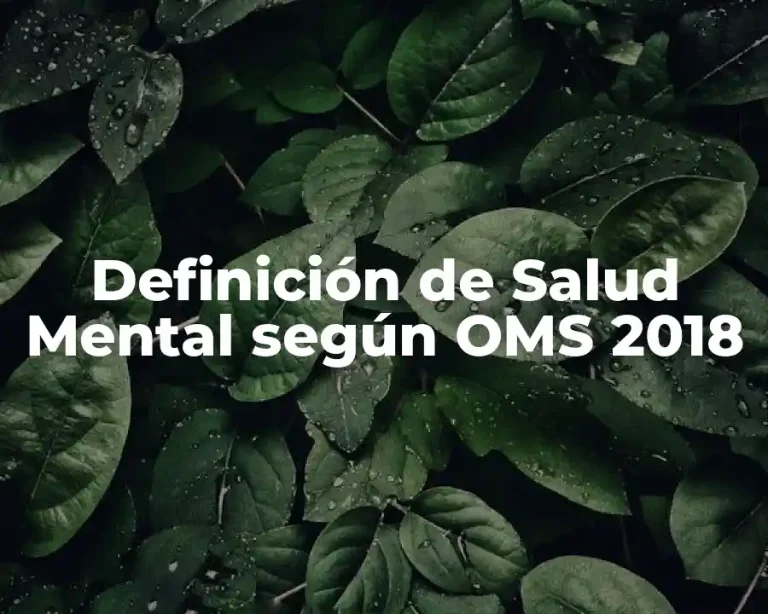 Definición de Salud Mental según OMS 2018