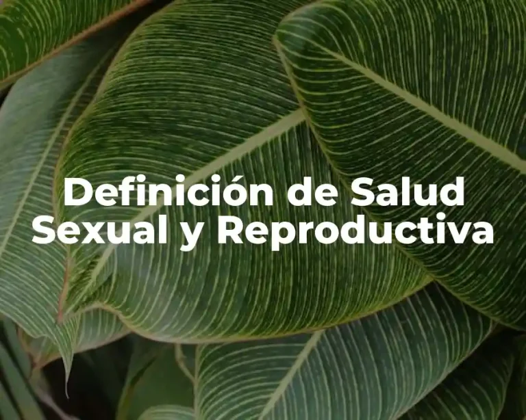 Definición de Salud Sexual y Reproductiva