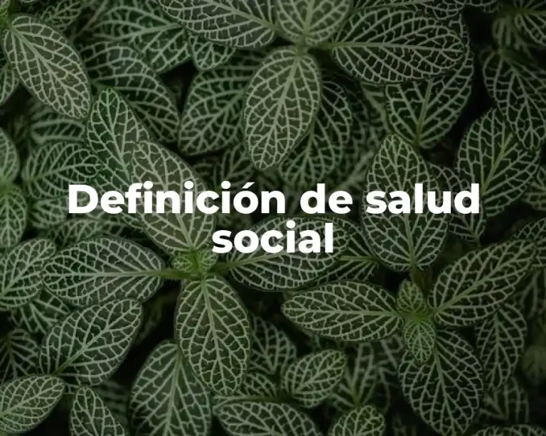 Definición de salud social