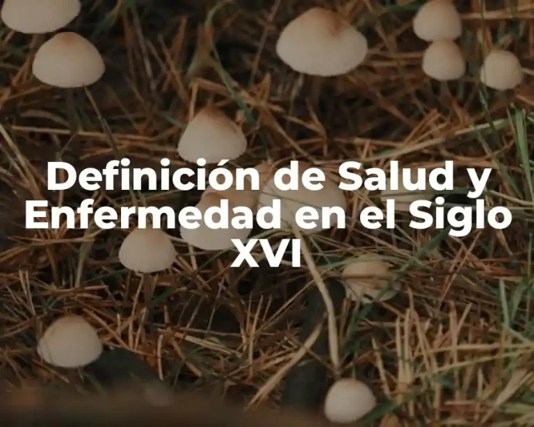 Definición de Salud y Enfermedad en el Siglo XVI