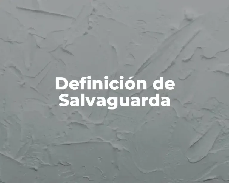 Definición de Salvaguarda