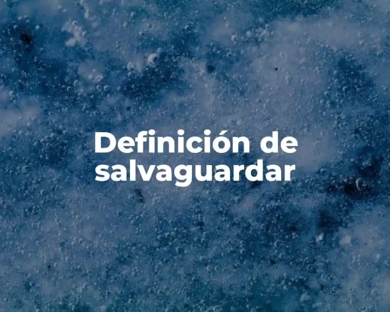 Definición de salvaguardar