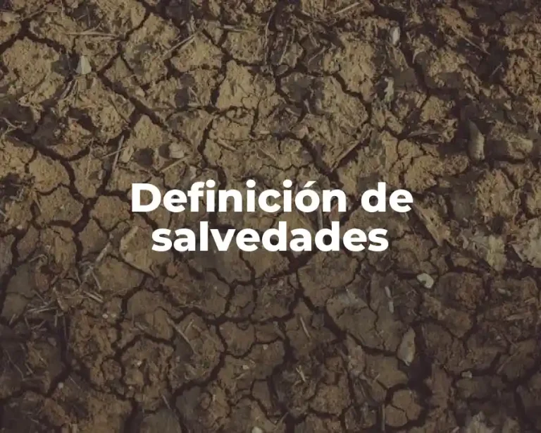 Definición de salvedades
