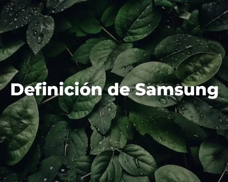 Definición de Samsung