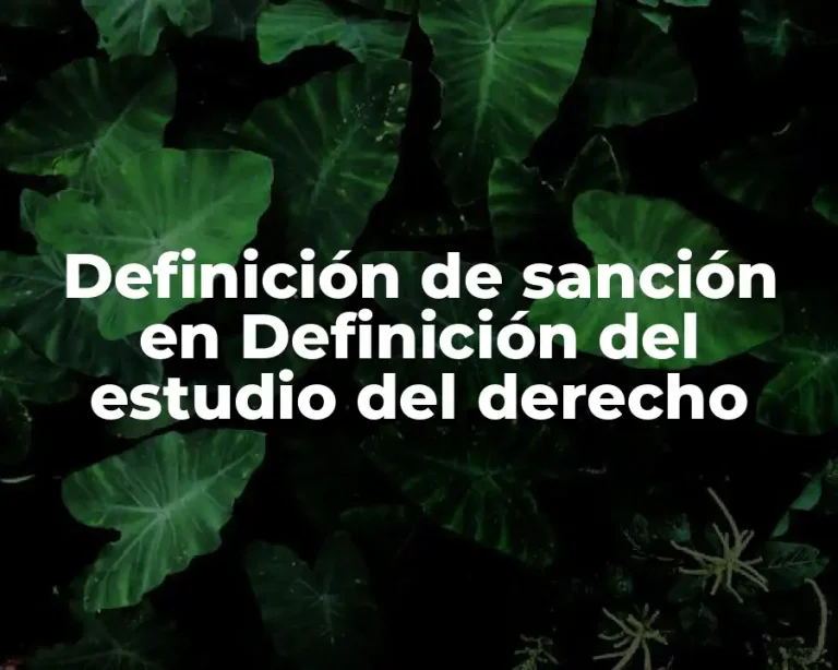 Definición de sanción en Definición del estudio del derecho