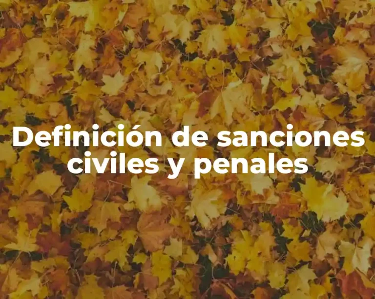 Definición de sanciones civiles y penales