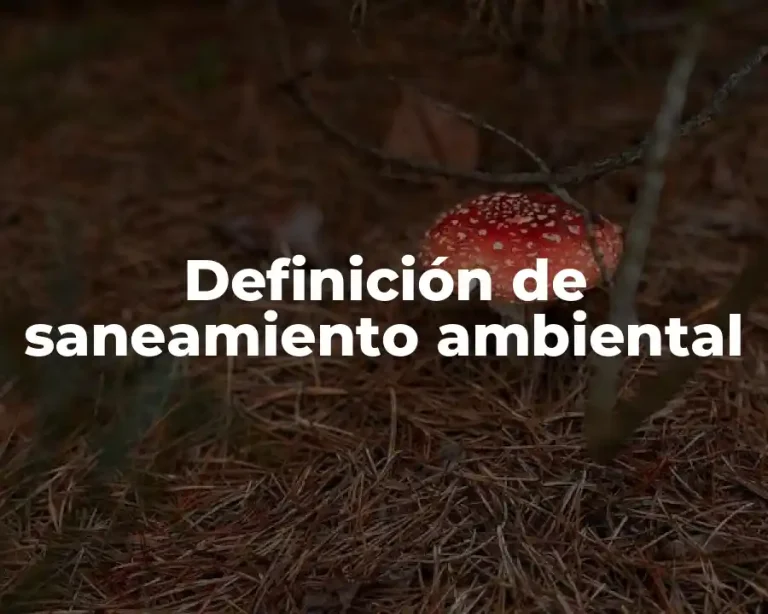 Definición de saneamiento ambiental