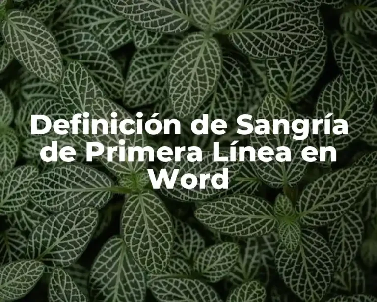 Definición de Sangría de Primera Línea en Word