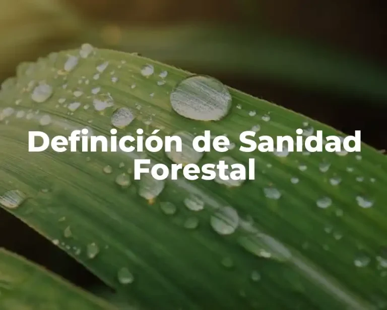 Definición de Sanidad Forestal