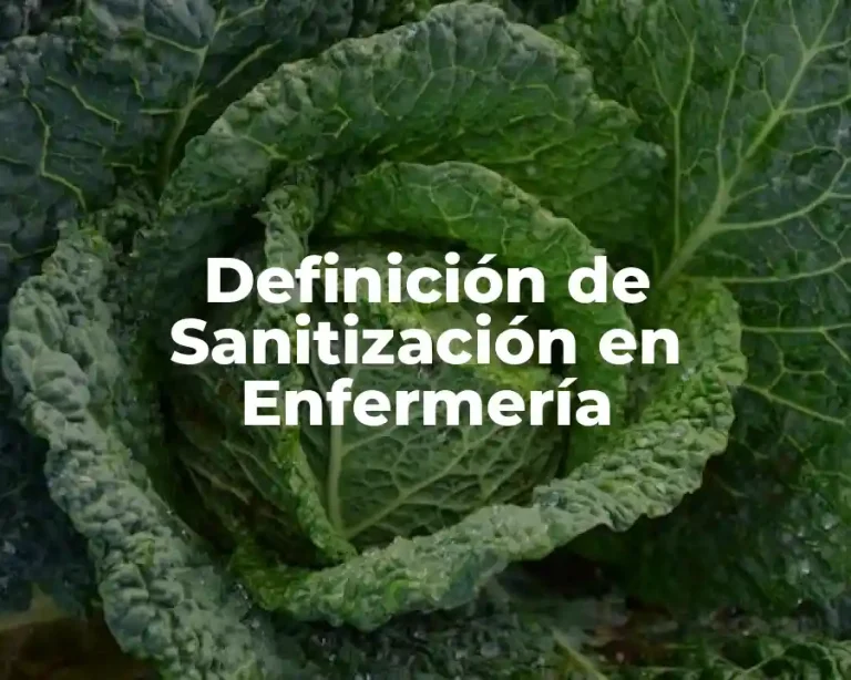 Definición de Sanitización en Enfermería