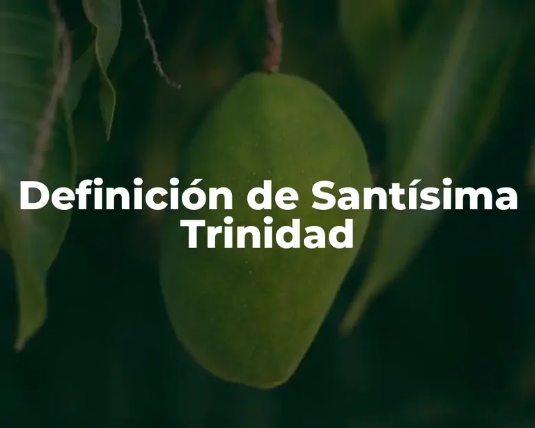 Definición de Santísima Trinidad