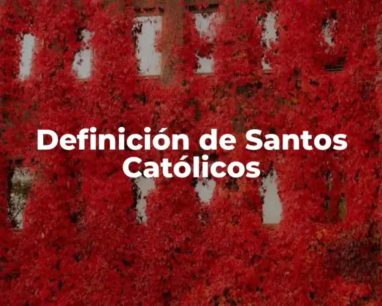 Definición de Santos Católicos