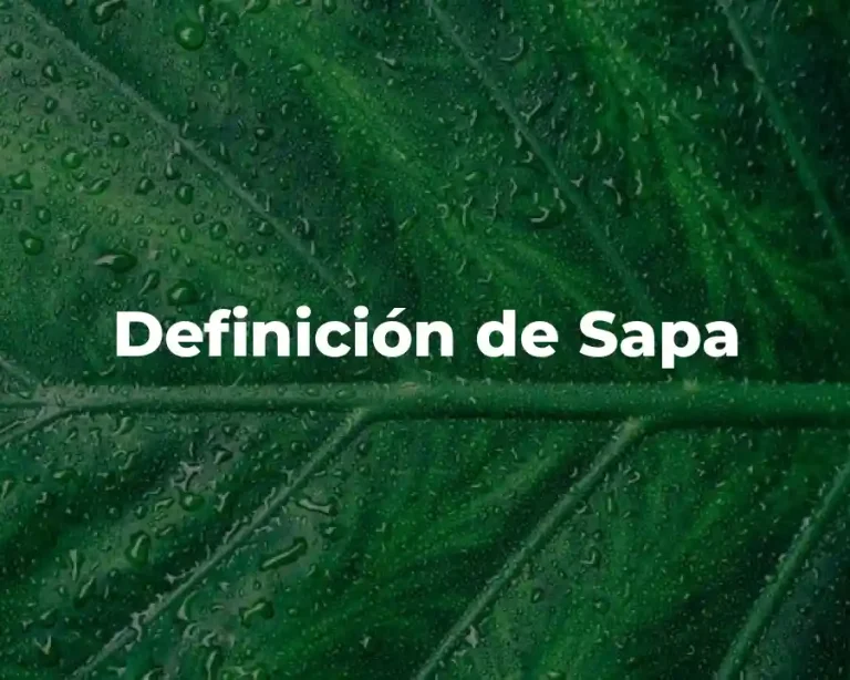 Definición de Sapa