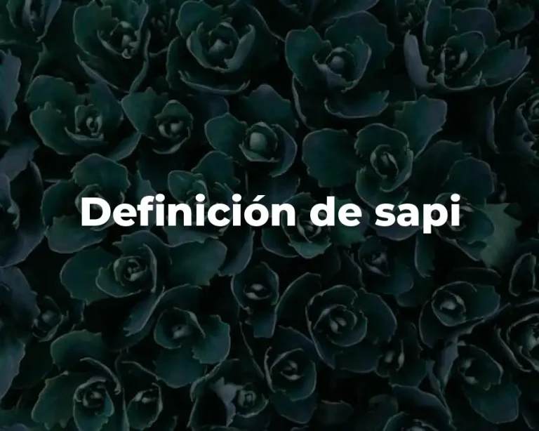 Definición de sapi