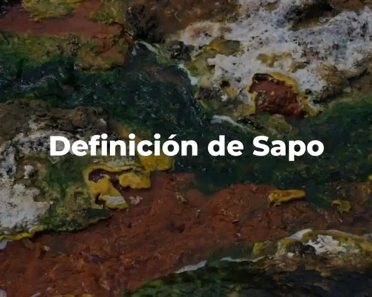 Definición de Sapo
