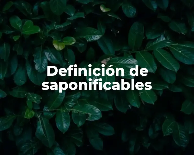 Definición de saponificables