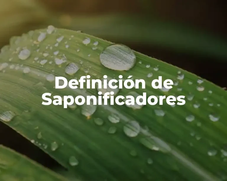 Definición de Saponificadores