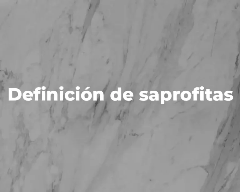 Definición de saprofitas