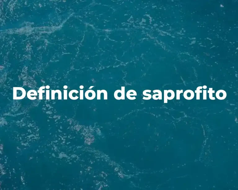 Definición de saprofito