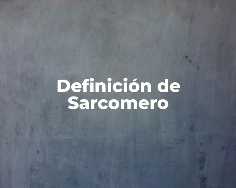 Definición de Sarcomero