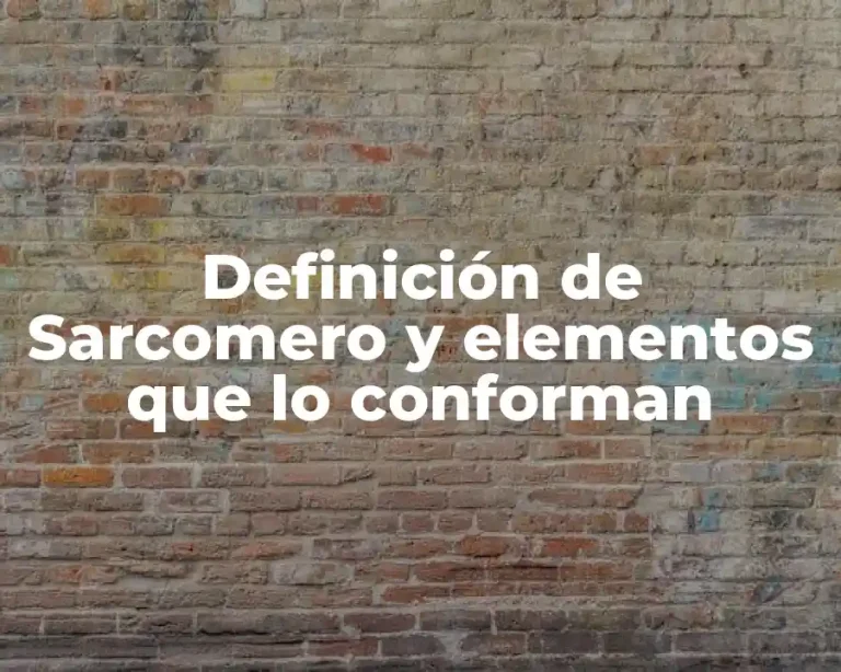 Definición de Sarcomero y elementos que lo conforman