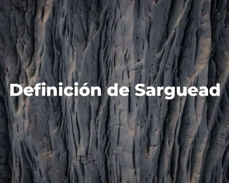 Definición de Sarguead