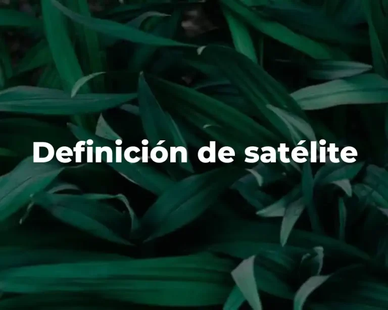 Definición de satélite