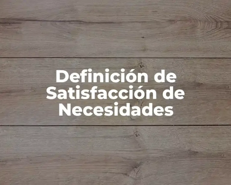 Definición de Satisfacción de Necesidades
