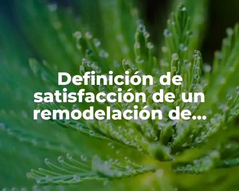 Definición de satisfacción de un remodelación de laboratorio