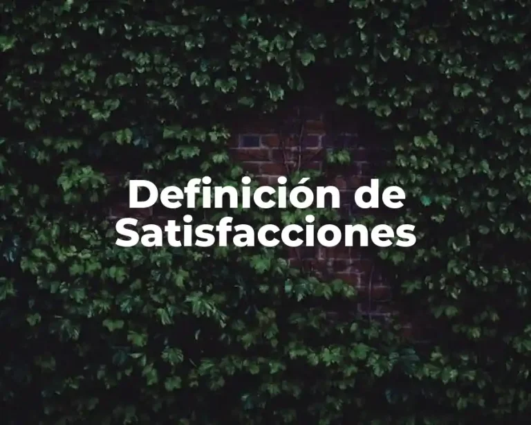 Definición de Satisfacciones