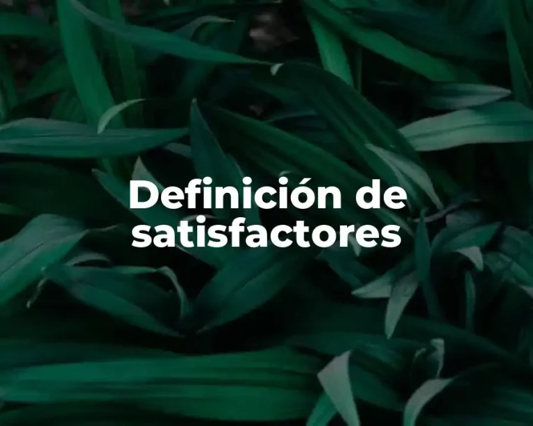 Definición de satisfactores