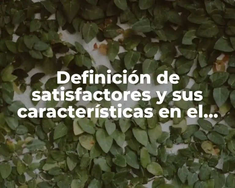 Definición de satisfactores y sus características en el metaparadigma