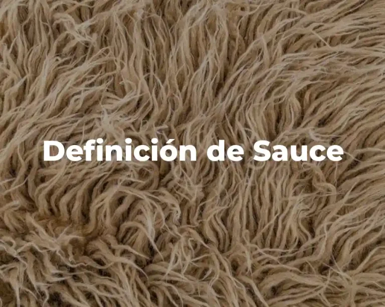 Definición de Sauce