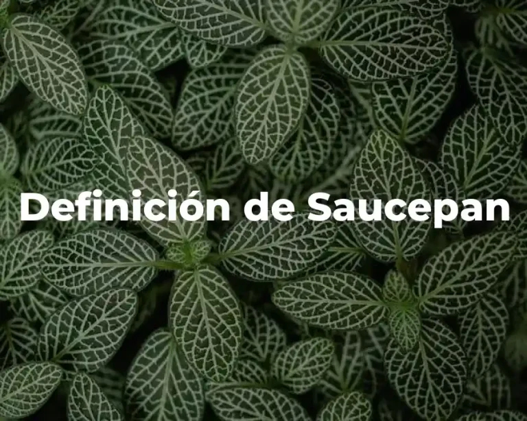 Definición de Saucepan