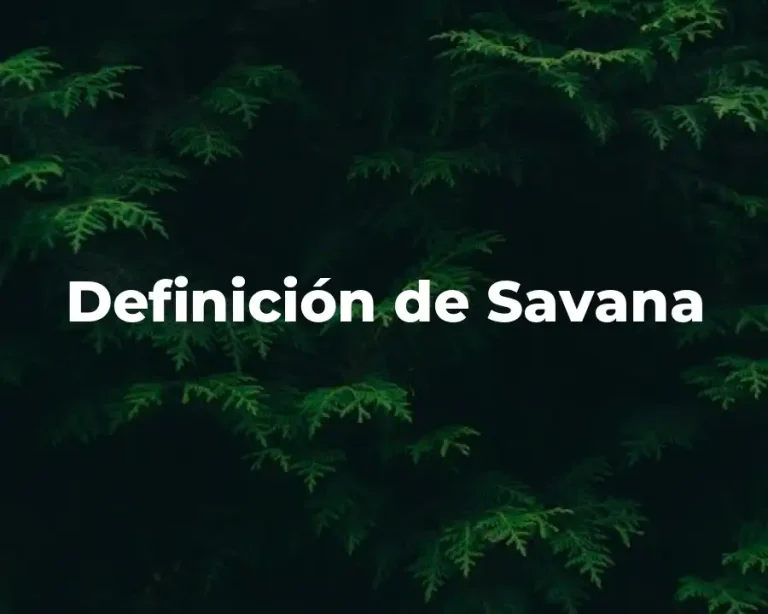 Definición de Savana