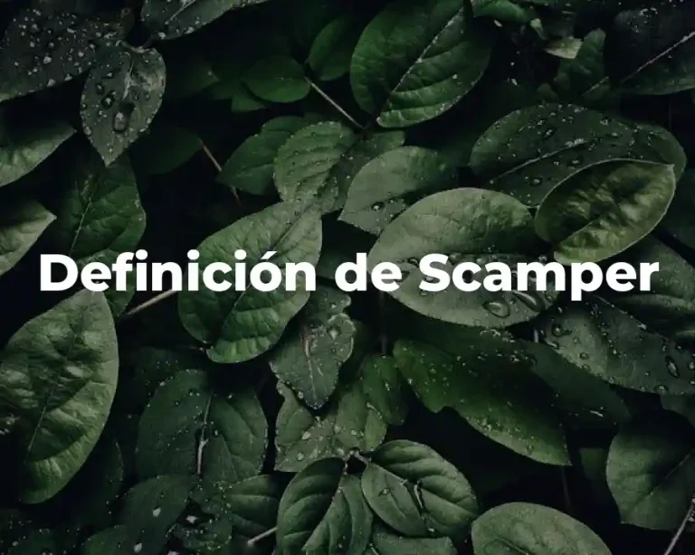 Definición de Scamper