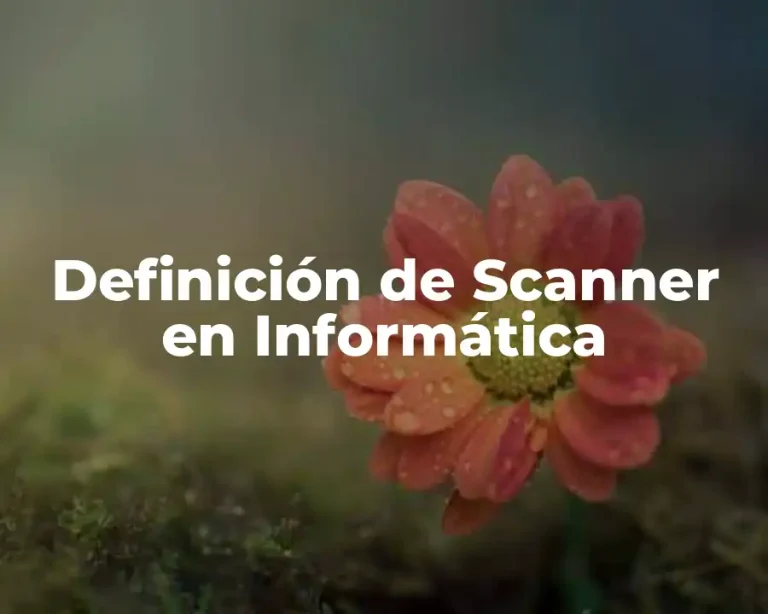 Definición de Scanner en Informática