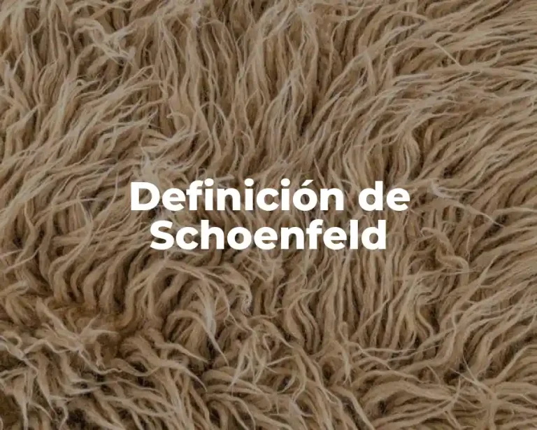Definición de Schoenfeld