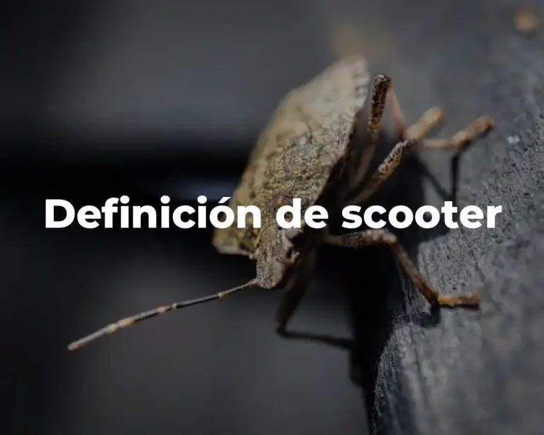 Definición de scooter