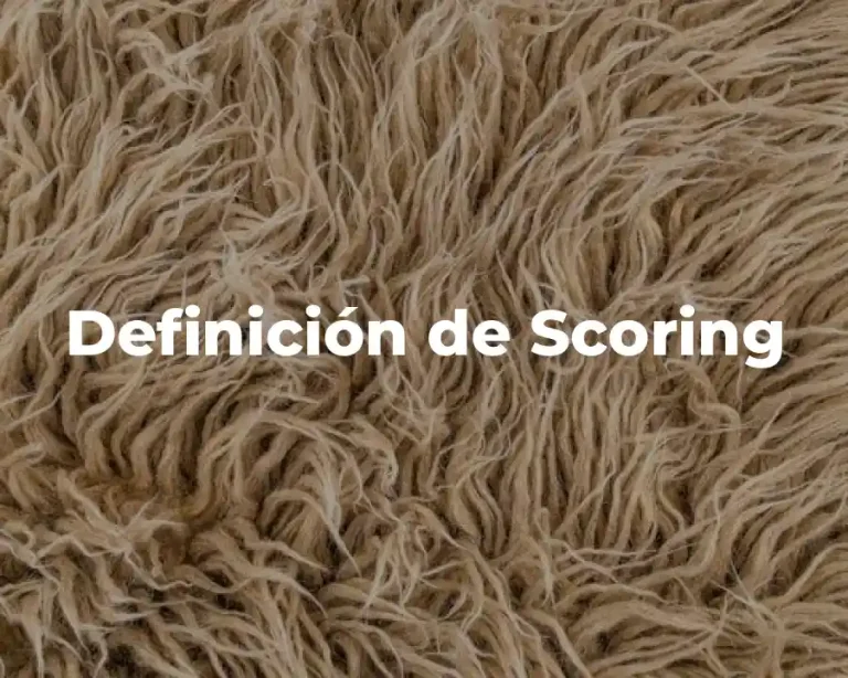 Definición de Scoring
