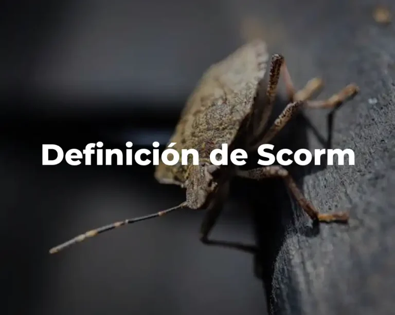 Definición de Scorm