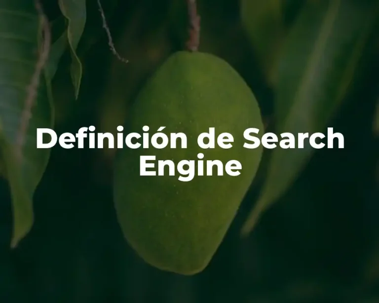 Definición de Search Engine