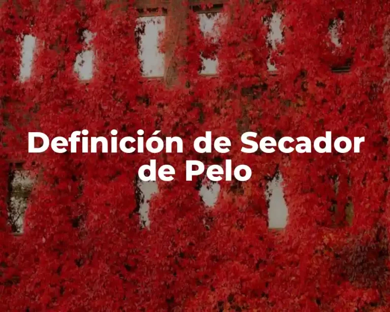 Definición de Secador de Pelo