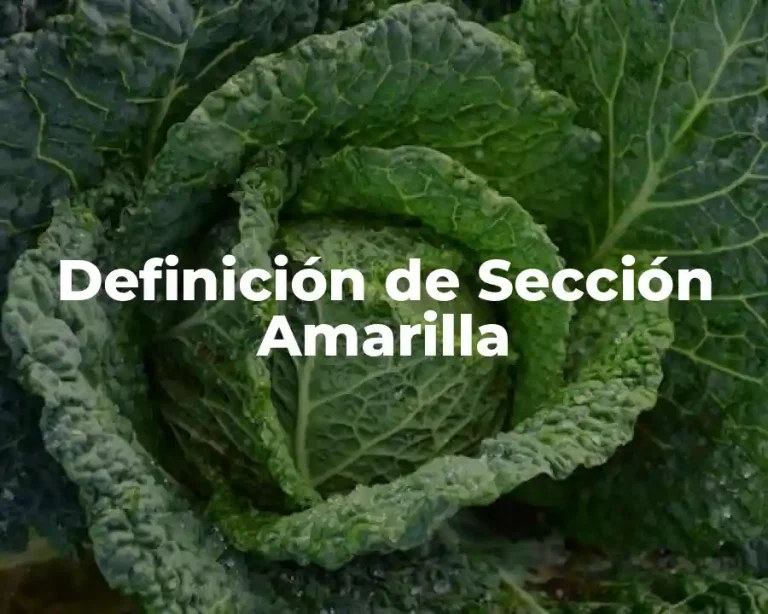 Definición de Sección Amarilla